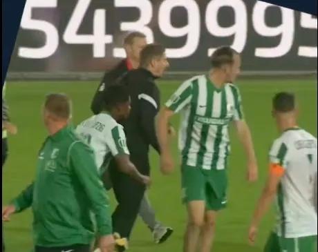 ws, 哈勒舍尔对 ws, 哈勒舍尔对